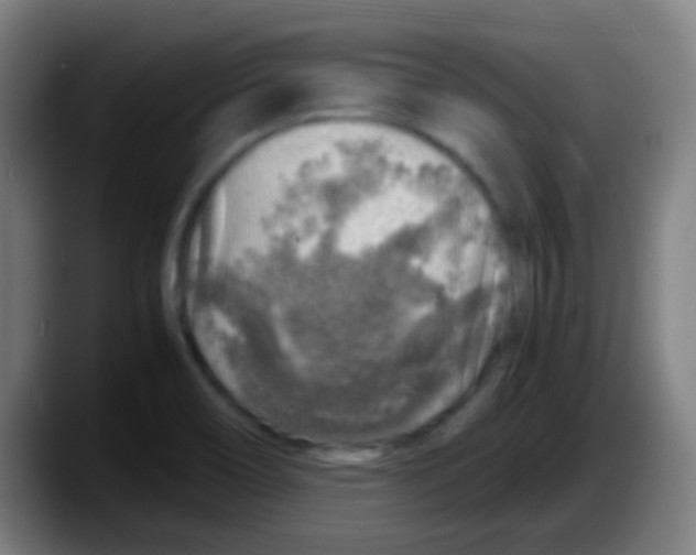 X0000087621466200705251953