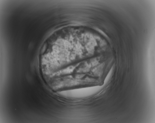 X0000087621467200705251953