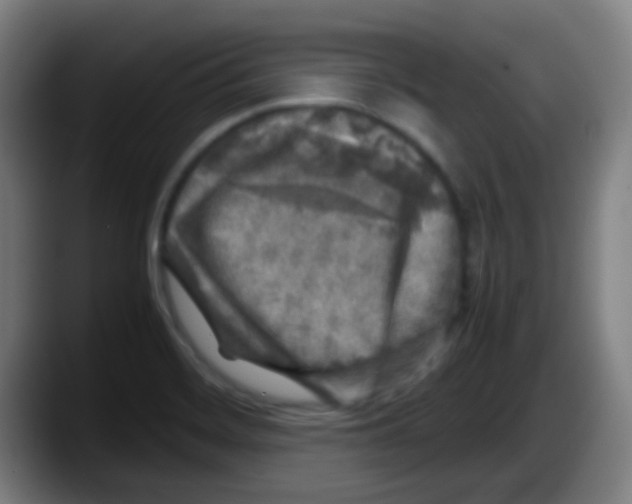 X0000087621468200705251953