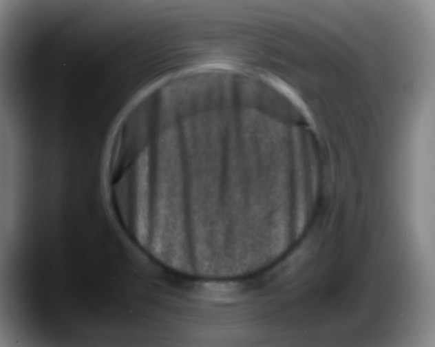 X0000087621469200705251953