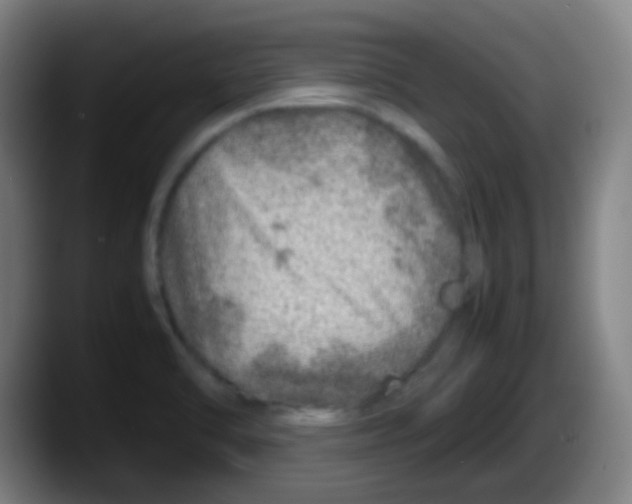 X0000087621470200705251953