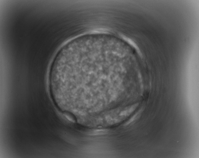 X0000087621471200705251953