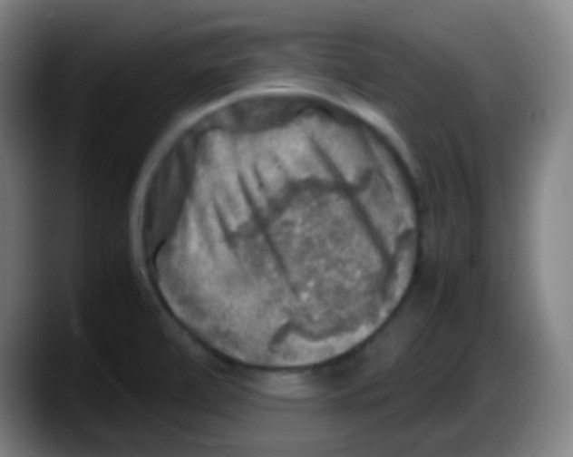 X0000087621472200705251953