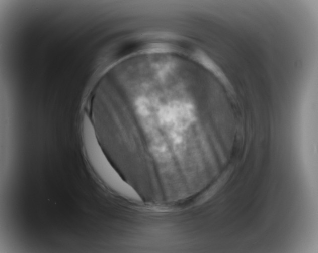 X0000087621473200705251953