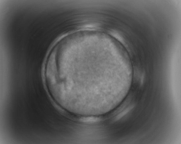 X0000087621474200705251953