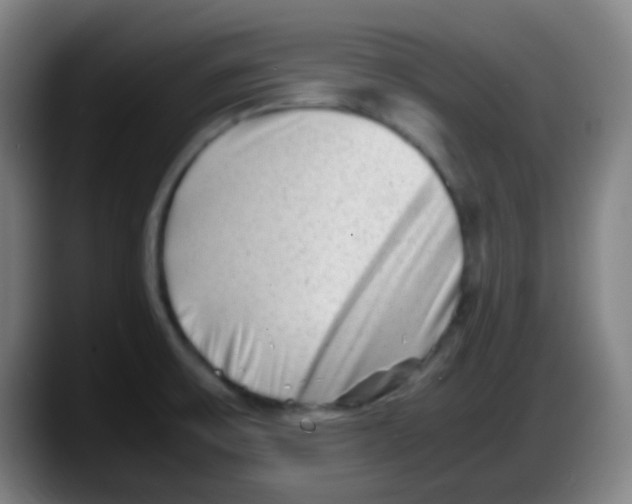 X0000087621475200705251953