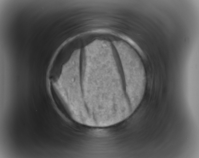 X0000087621476200705251953