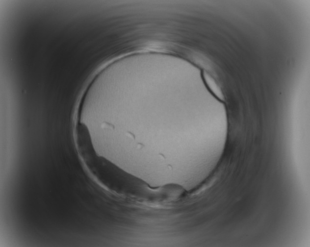 X0000087621479200705251952