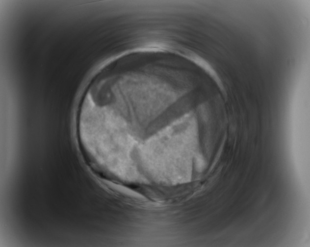 X0000087621480200705251952