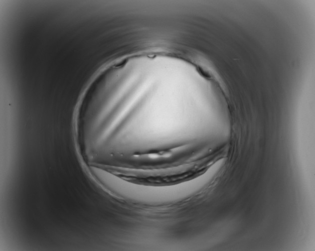 X0000087621483200705251952