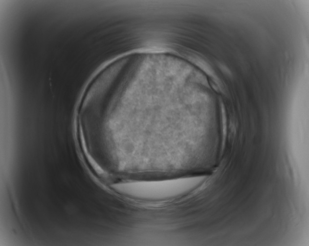 X0000087621484200705251952