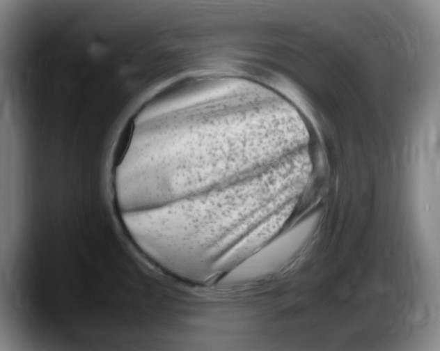 X0000087621485200705251952