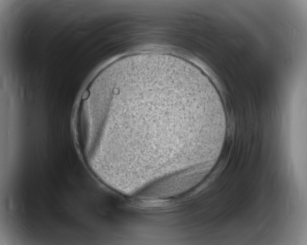 X0000087621486200705251952