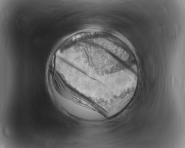 X0000087621488200705251952