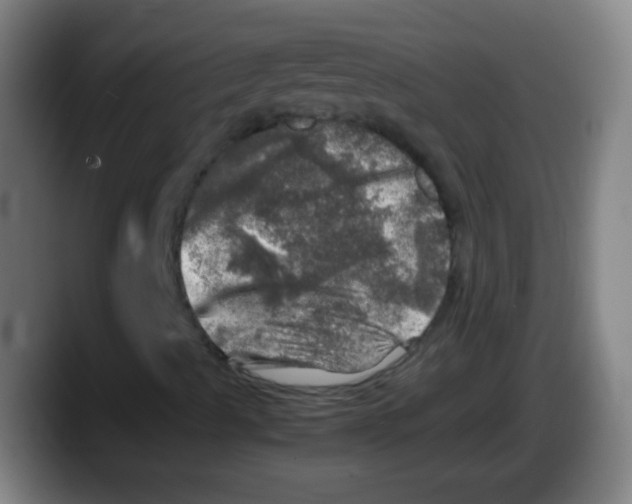 X0000087621489200705251952