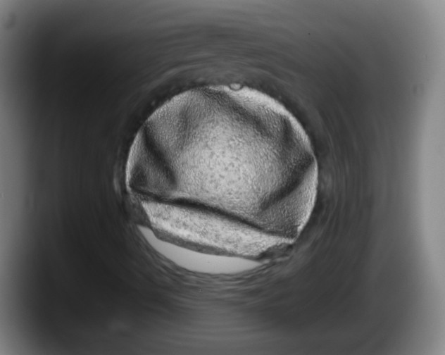 X0000087621490200705251952