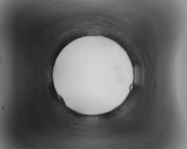 X0000087621491200705251952