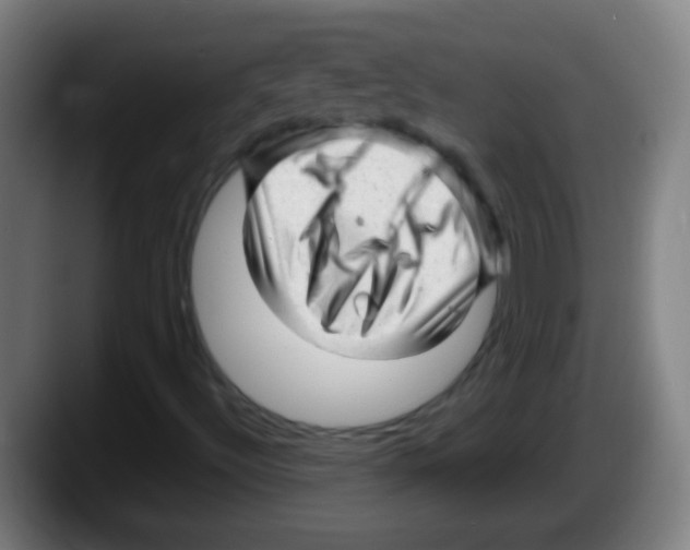 X0000087621492200705251952