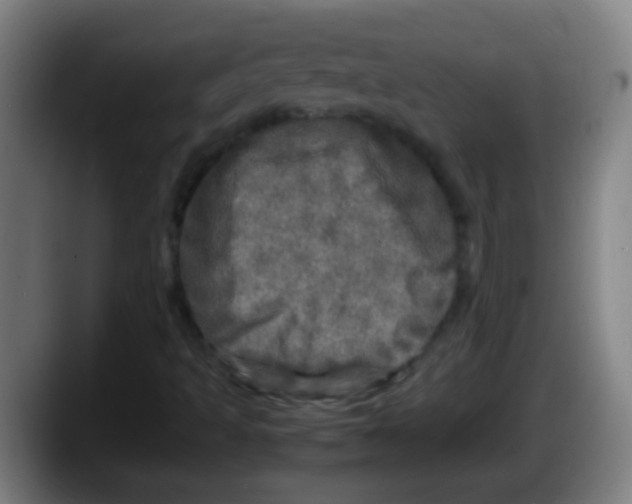 X0000087621493200705251952