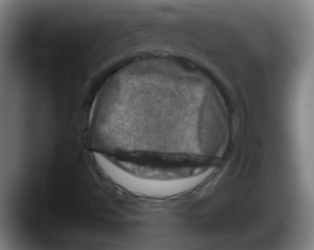 X0000087621494200705251952