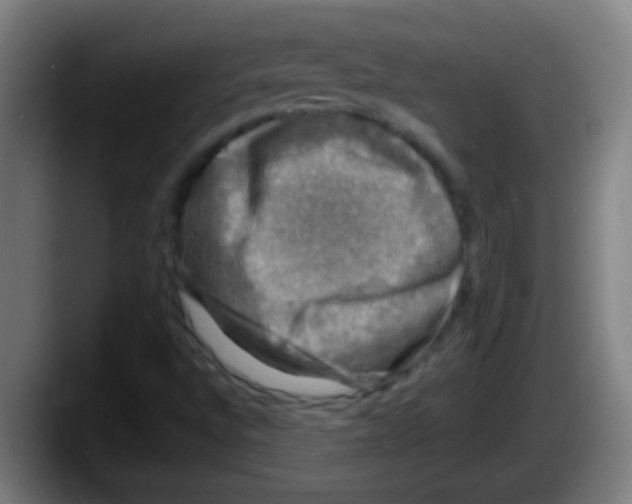 X0000087621496200705251952