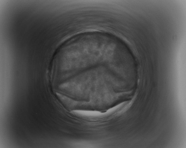 X0000087621497200705251952