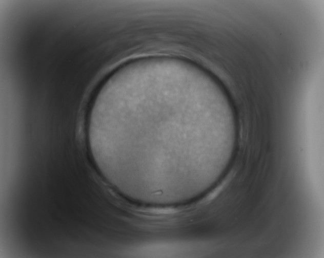 X0000087621498200705251952