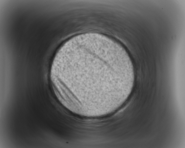 X0000087621499200705251952