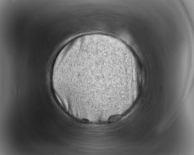 X0000087621500200705251952