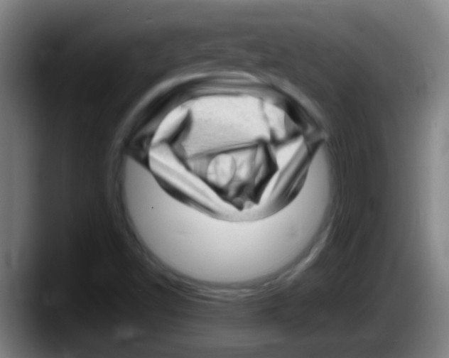 X0000087621502200705251952