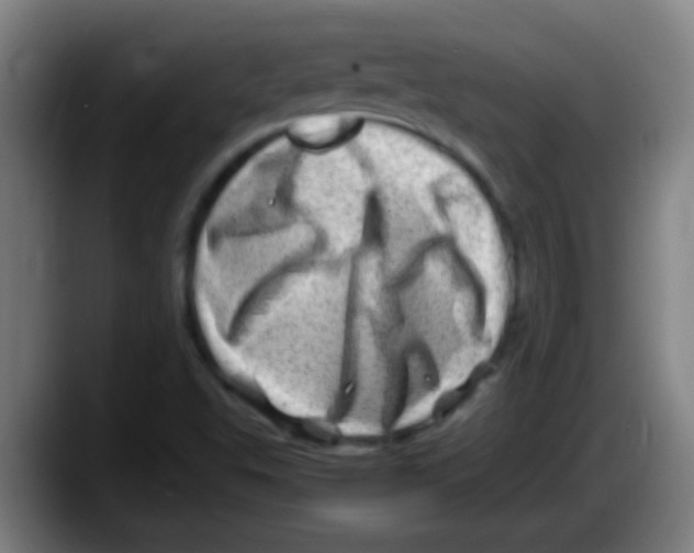 X0000087621503200705251952