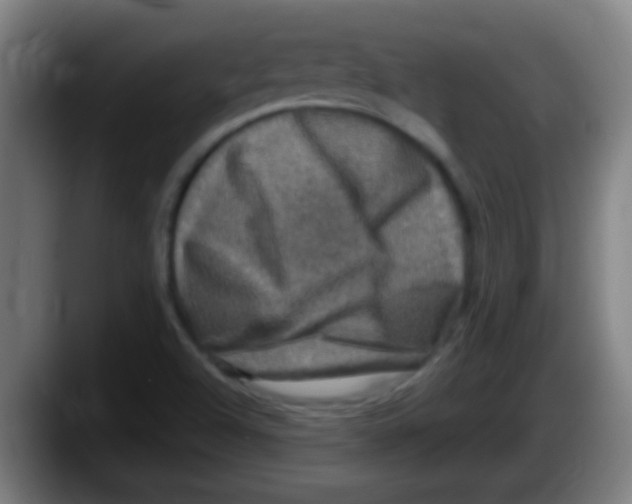 X0000087621504200705251952