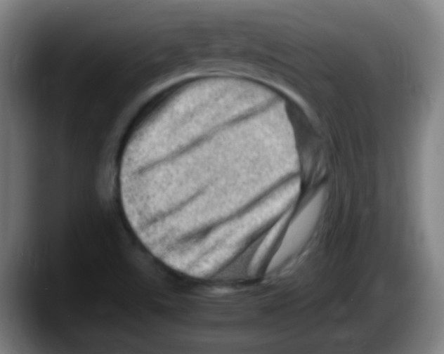 X0000087621507200705251952