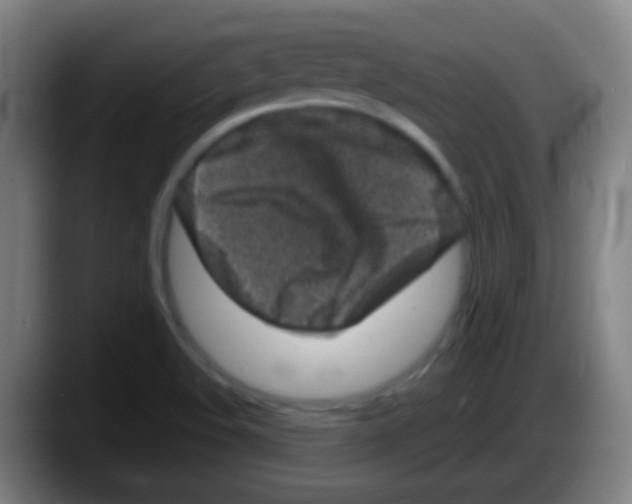 X0000087621508200705251952