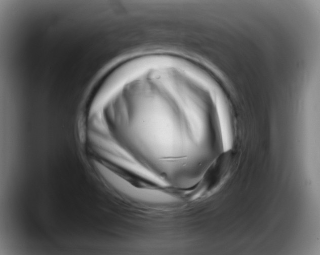 X0000087621510200705251952