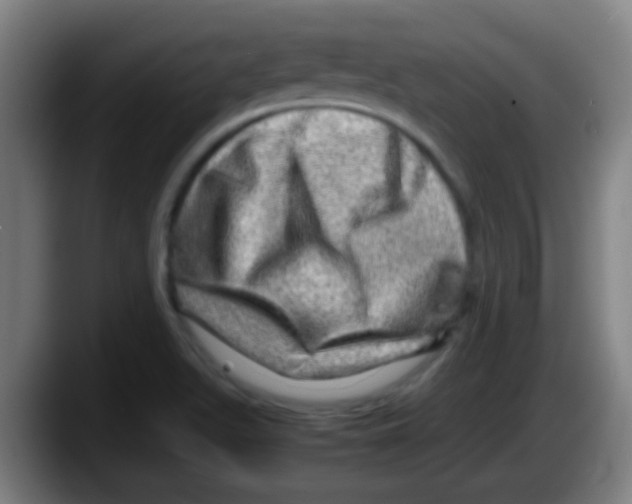 X0000087621511200705251952