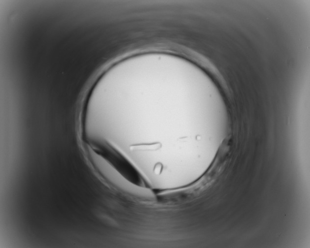 X0000087621512200705251952