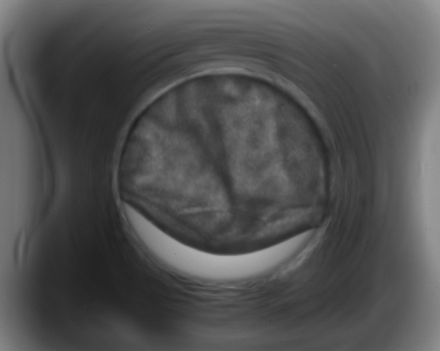 X0000087621513200705251952