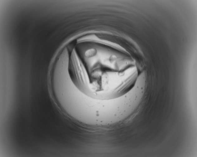 X0000087621514200705251952