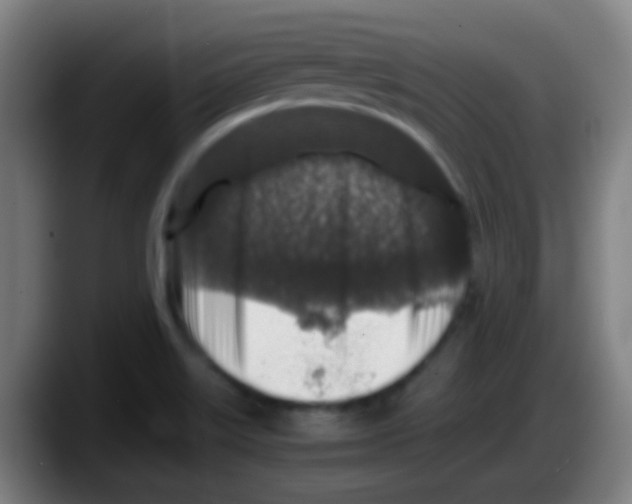 X0000087621515200705251952