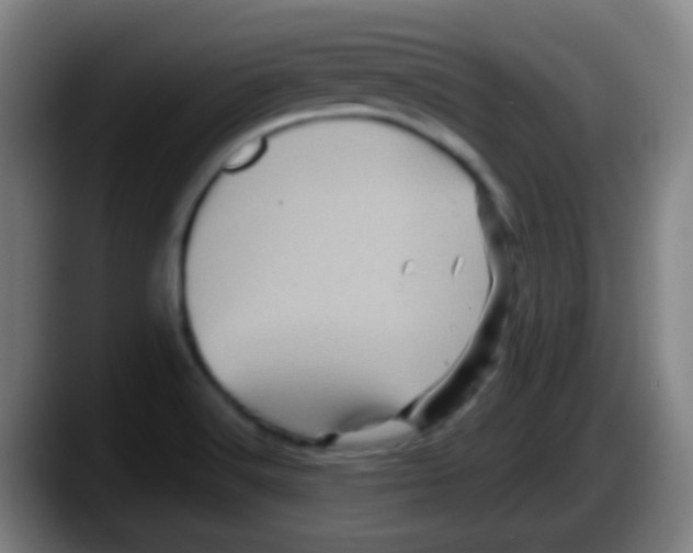 X0000087621516200705251952