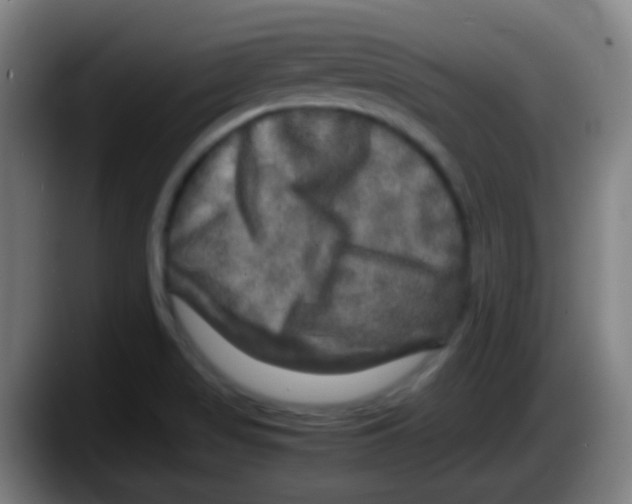 X0000087621517200705251952