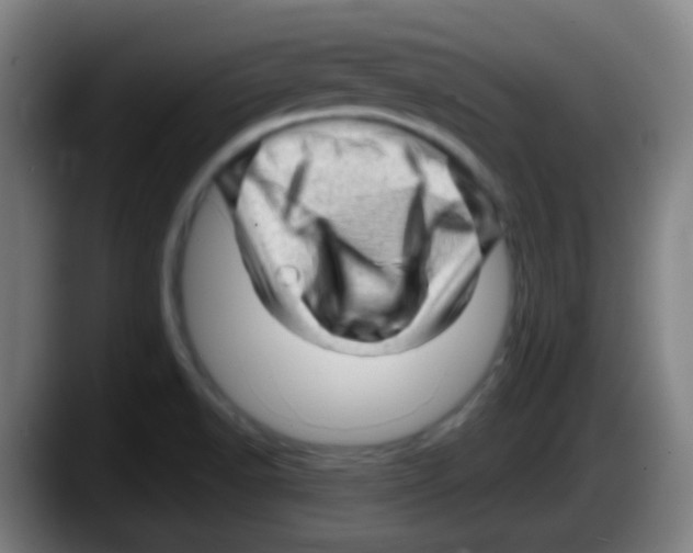 X0000087621518200705251952