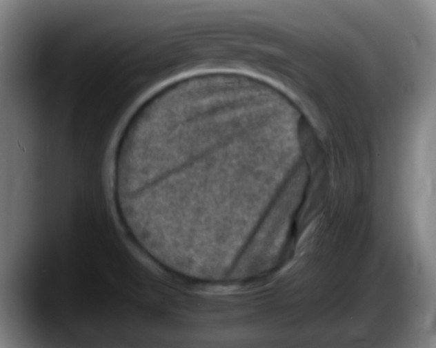 X0000087621519200705251952