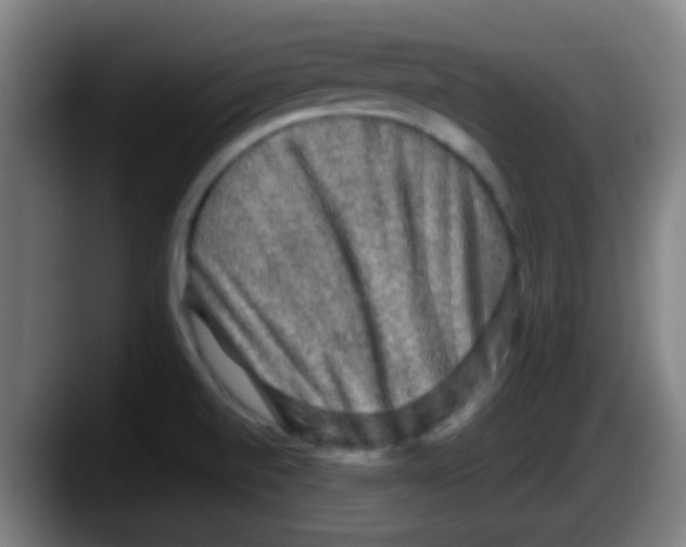 X0000087621520200705251952