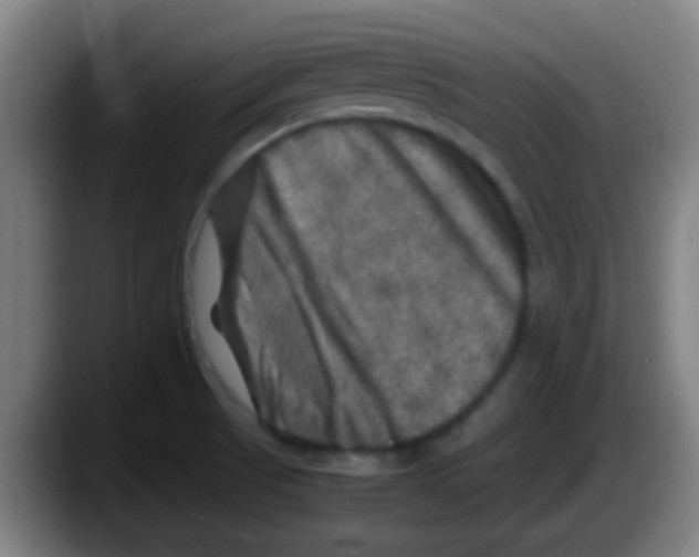 X0000087621521200705251952