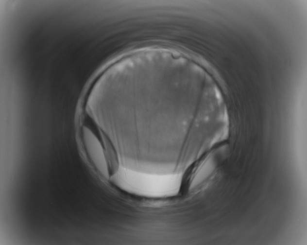 X0000087621522200705251952