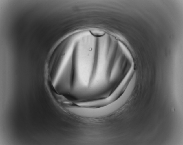 X0000087621524200705251952