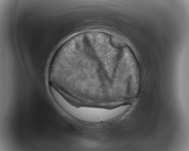 X0000087621525200705251952