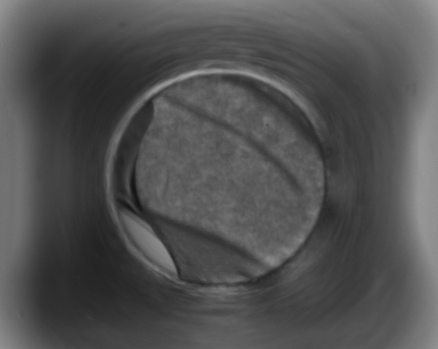 X0000087621527200705251952